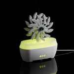 Увлажнитель-ароматизатор STEAM SPIN, белый с серым