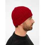 Шапка FACULTY, красная