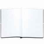 Ежедневник FLEXPEN BRIGHT, недатированный, черный