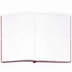 Ежедневник FLEXPEN BRIGHT, недатированный, красный