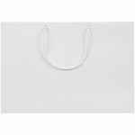 Пакет бумажный AMPLE THIN M, белый