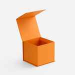 Коробка ALIAN, оранжевая