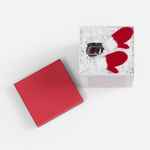 Набор WISH GENERATOR, красный