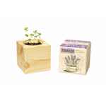 Набор для выращивания «Экокуб», лаванда