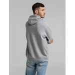 Толстовка с капюшоном SNAKE II серый меланж, размер XL