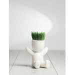 Набор для выращивания FUNKY KID