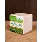 Набор для выращивания «Экокуб», сосна