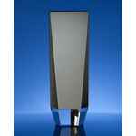 Награда STATUM, малая