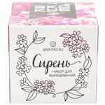 Набор для выращивания «Экокуб LITE», сирень