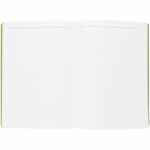 Ежедневник FLEXPEN, недатированный, серебристо-зеленый