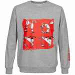 Толстовка «Яжопытный», серый меланж, размер S