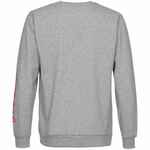 Толстовка «Яжопытный», серый меланж, размер S