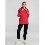 Толстовка с капюшоном унисекс HOODIE, красный меланж, размер XS