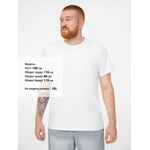 Футболка мужская T-BOLKA STRETCH, белая, размер S