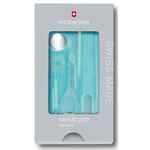 Набор инструментов SWISSCARD NAILCARE, голубой