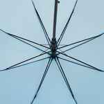 Зонт-трость STANDARD, голубой