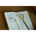 Ежедневник NUBUK, недатированный, темно-серый