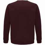 Свитшот унисекс SPACE, бордовый, размер XXS