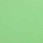 Флисовый плед WARM&PEACE, светло-зеленый