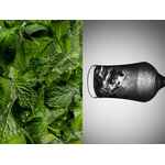 Бокал для пива TULIP