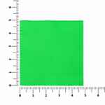 Лейбл тканевый EPSILON, L, зеленый неон