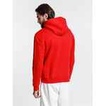 Худи унисекс PHOENIX, красное, размер XXL