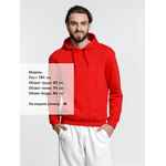 Худи унисекс PHOENIX, красное, размер L