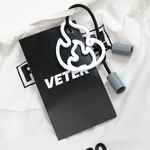 Пара наконечников для шнурка TIZZLE, серый