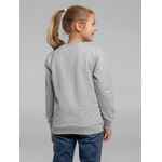 Свитшот TOIMA KIDS 2.0, серый меланж, 6 лет