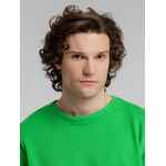 Свитшот унисекс BNC INSPIRE (ORGANIC), зеленый, размер XL