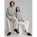 Свитшот унисекс BNC INSPIRE (ORGANIC), серый меланж, размер XS