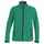 Куртка софтшелл мужская TRIAL зеленая, размер S