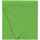 Шарф LIFE EXPLORER, зеленый (салатовый)