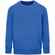 Свитшот детский COLUMBIA KIDS, ярко-синий (ROYAL), на рост154-164