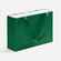 Коробка REGALIS, зеленая