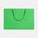 Пакет бумажный AMPLE THIN M, светло-зеленый