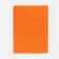 Ежедневник FLEX SHALL, датированный, оранжевый