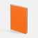 Ежедневник FLEX SHALL, датированный, оранжевый