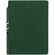 Ежедневник FLEXPEN COLOR, датированный, зеленый