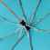 Зонт складной AOC, бирюзовый