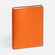Ежедневник SPRING SHALL, недатированный, оранжевый