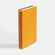 Ежедневник SPRING SHALL, недатированный, желтый