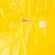 Дождевик-плащ детский BRIGHTWAY KIDS, желтый