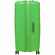 Чемодан BUTTERFLY L, зеленый