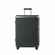 Чемодан DYNASTY S, темно-серый