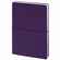 Ежедневник FLEXPEN BRIGHT, недатированный, фиолетовый