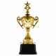 Кубок TOP STAR, золотистый