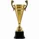 Кубок RECORDSMAN, золотистый