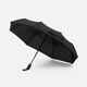 Зонт складной BRELLIX, черный